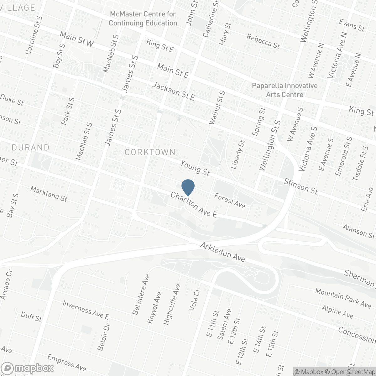 146 FOREST Avenue, Hamilton, Ontario L8N 1X5